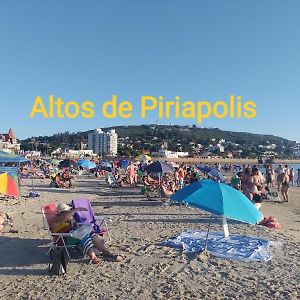 Apartamento de 1 Dormitorio